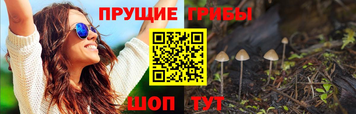 Кореновск  Псилоцибиновые грибы мицелий  купить наркотик  Псилоцибиновые грибы Magic Shrooms  Вход с VPN 